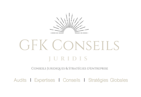 L’ascension de GFK Conseils, le cabinet de Romain Gérardin-Fresse